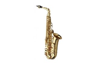 Amazon | YANAGISAWA A-WO1 アルトサックス (ヤナギサワ